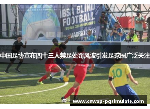 中国足协宣布四十三人禁足处罚风波引发足球圈广泛关注 中国足协宣布四十三人禁足处罚风波引发足球圈广泛关注