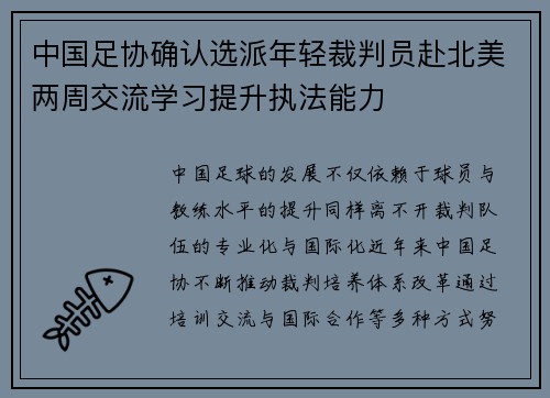 中国足协确认选派年轻裁判员赴北美两周交流学习提升执法能力